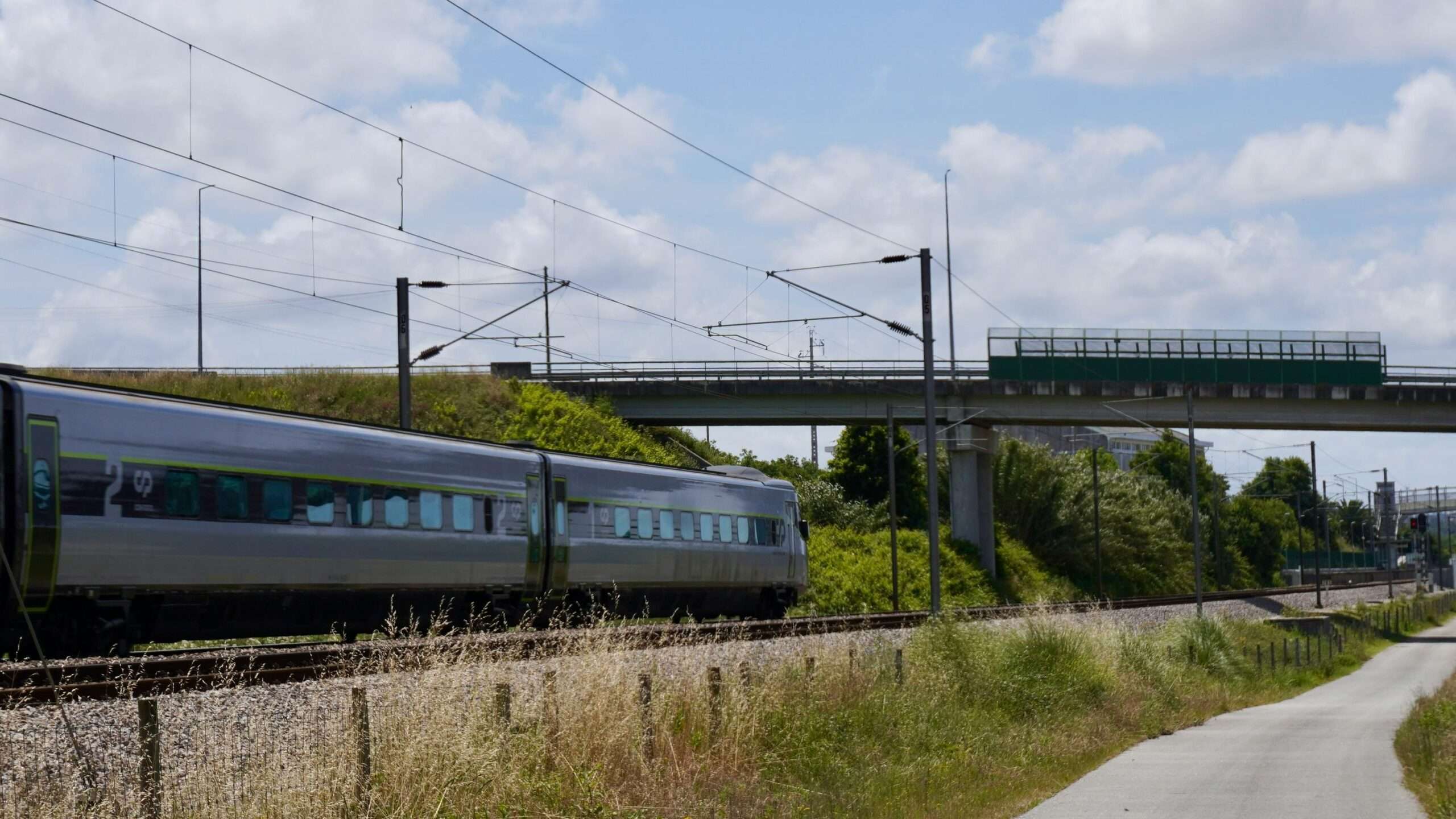 A train along rail tracks and beneath a bridge and tall green and yellow grass.