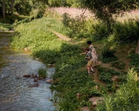 A grassy knoll alongside a creek with boy scouts playing.