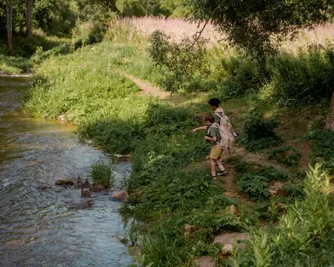 A grassy knoll alongside a creek with boy scouts playing.