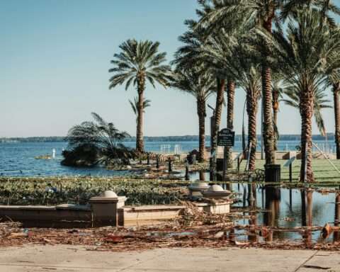 Disaster damaged rubble alongside palm trees and the ocean following a hurricane.