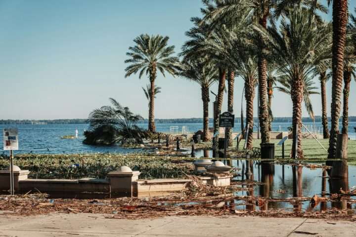 Disaster damaged rubble alongside palm trees and the ocean following a hurricane.