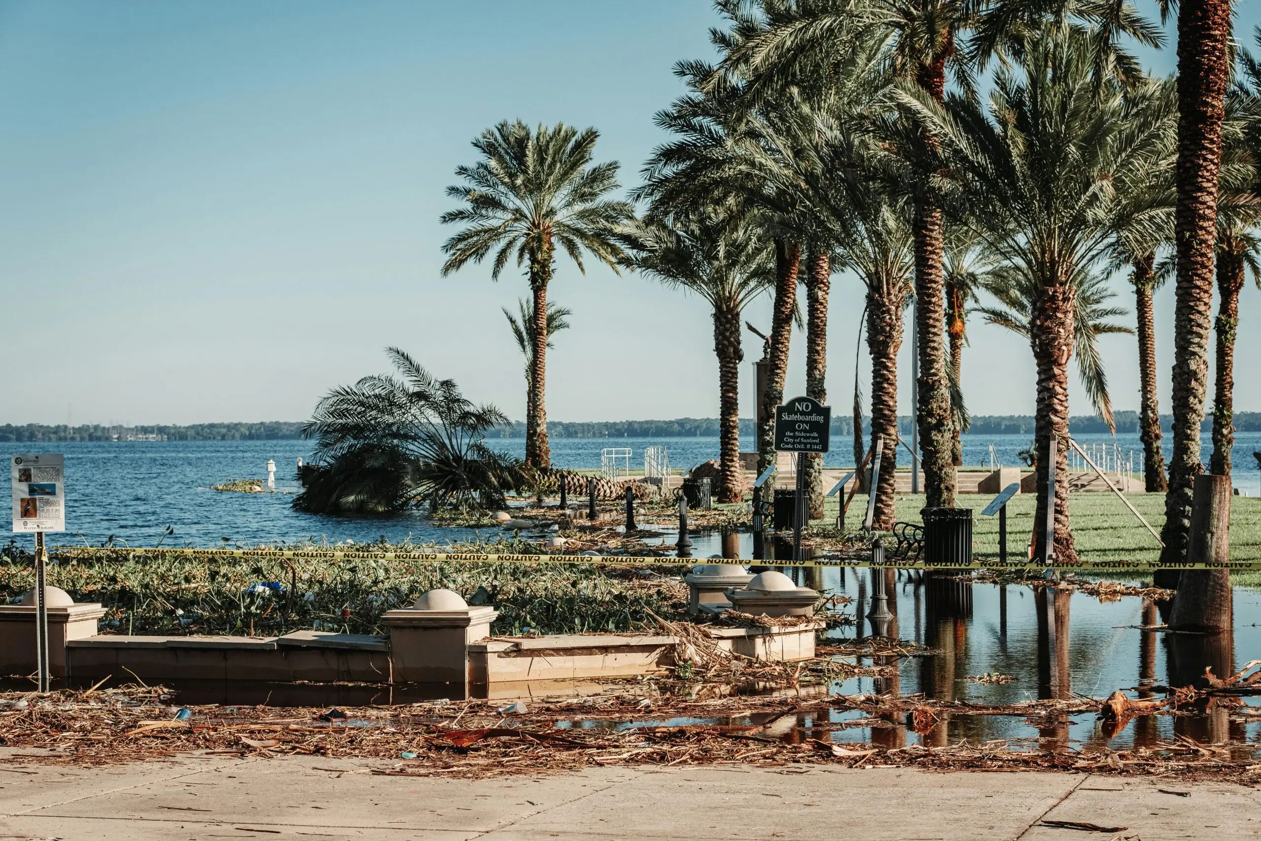 Disaster damaged rubble alongside palm trees and the ocean following a hurricane.