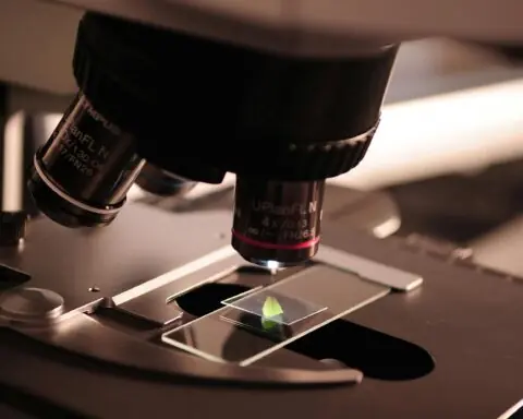 A microscope viewing a slide in dark lighting.