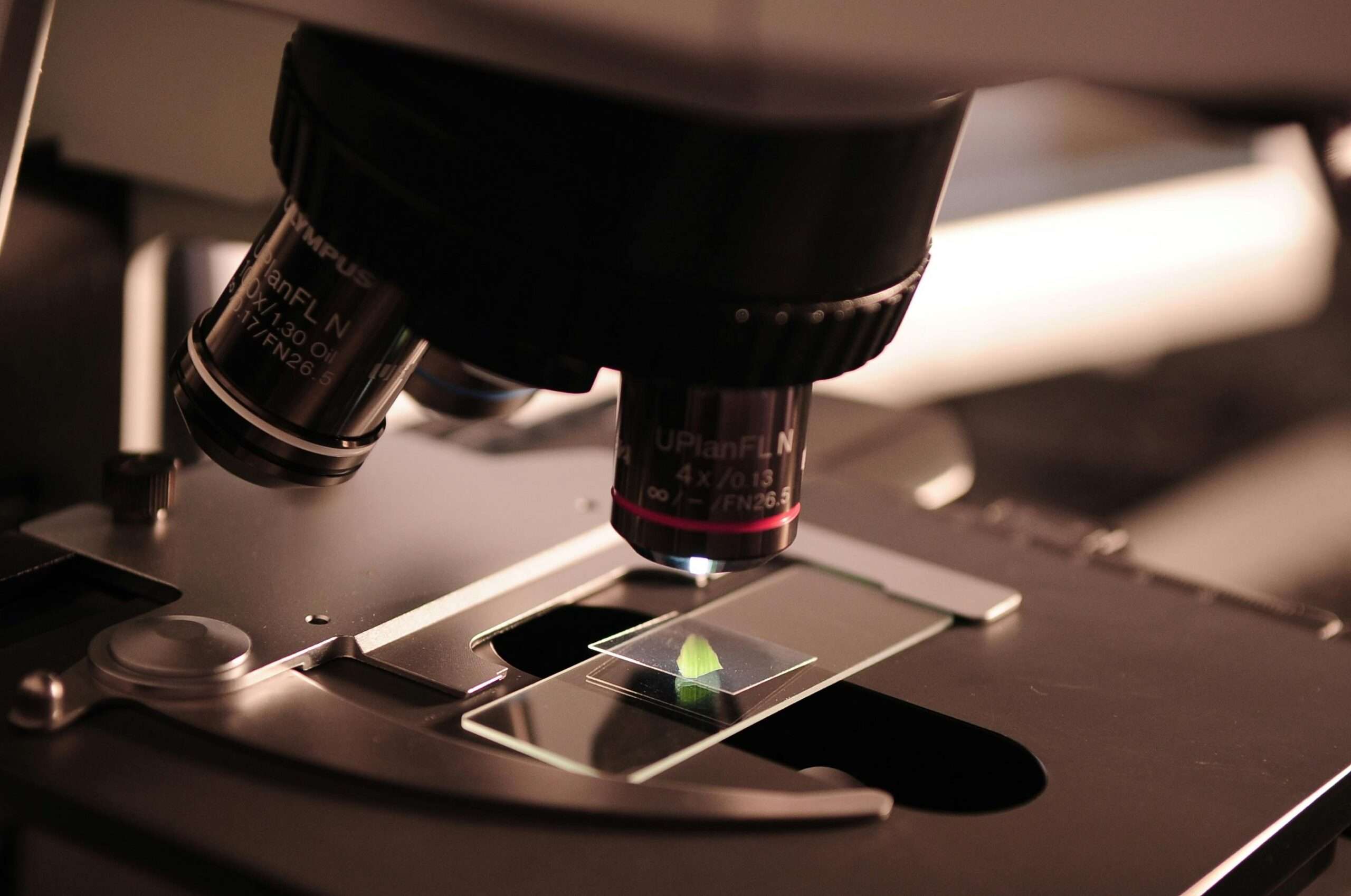 A microscope viewing a slide in dark lighting.