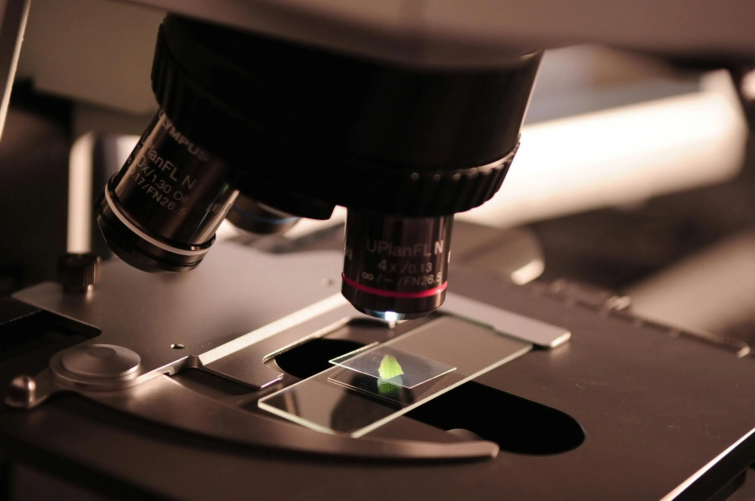 A microscope viewing a slide in dark lighting.