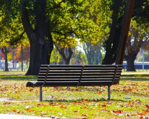 A park bench in a green city park.