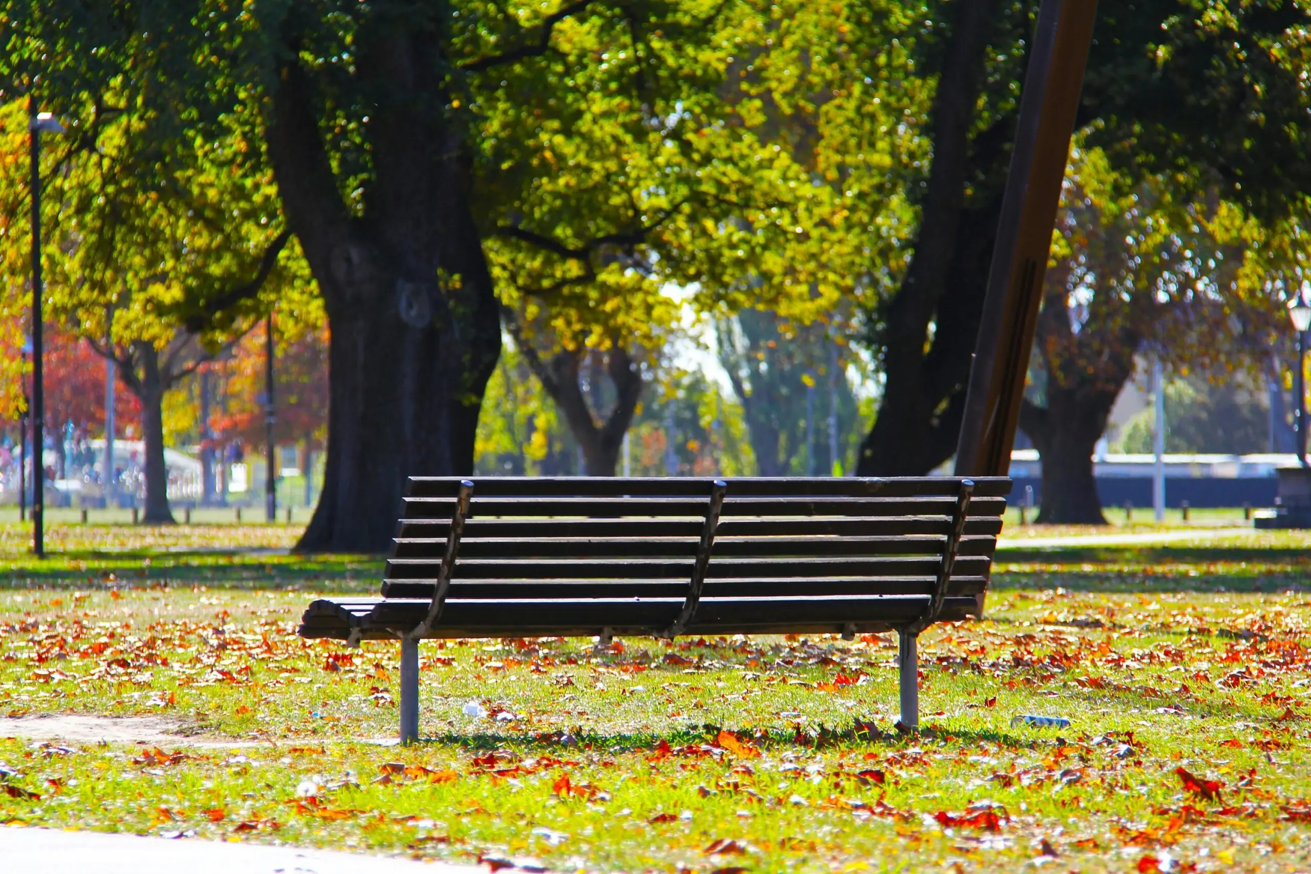 A park bench in a green city park.