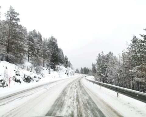 A snowy road with trees along the embankment.