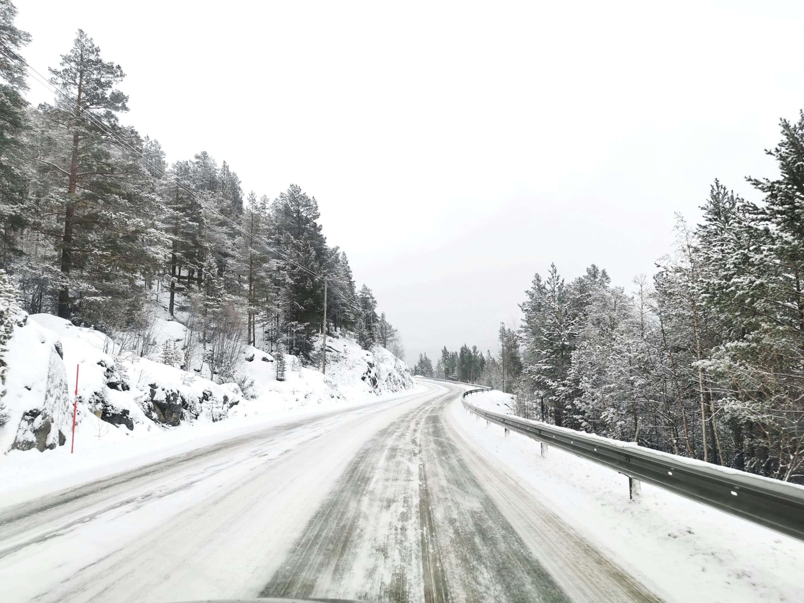 A snowy road with trees along the embankment.
