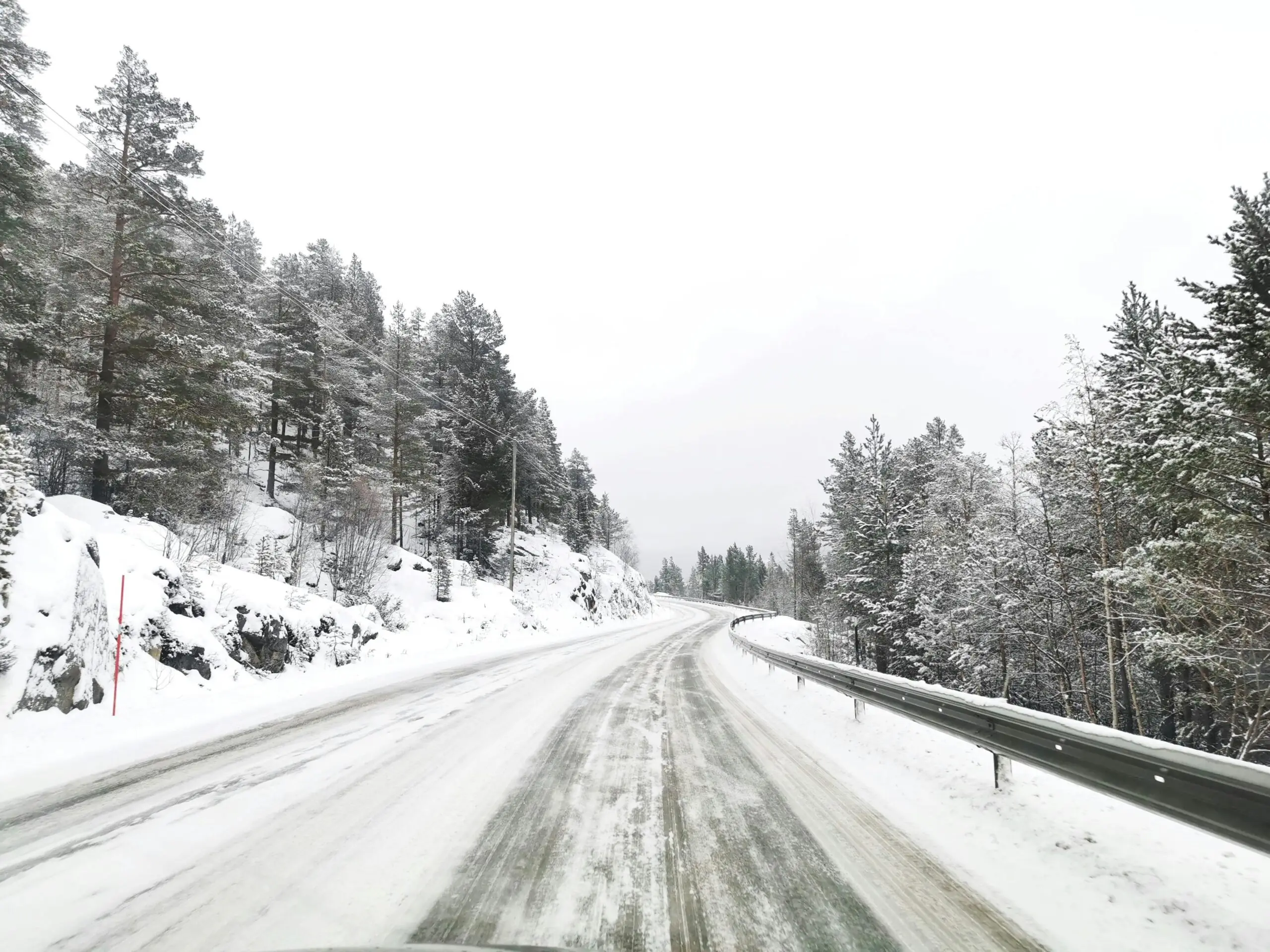 A snowy road with trees along the embankment.