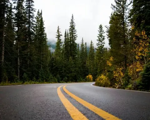 A winding highway road through trees and hilly terrain.