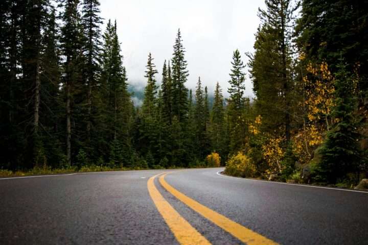 A winding highway road through trees and hilly terrain.
