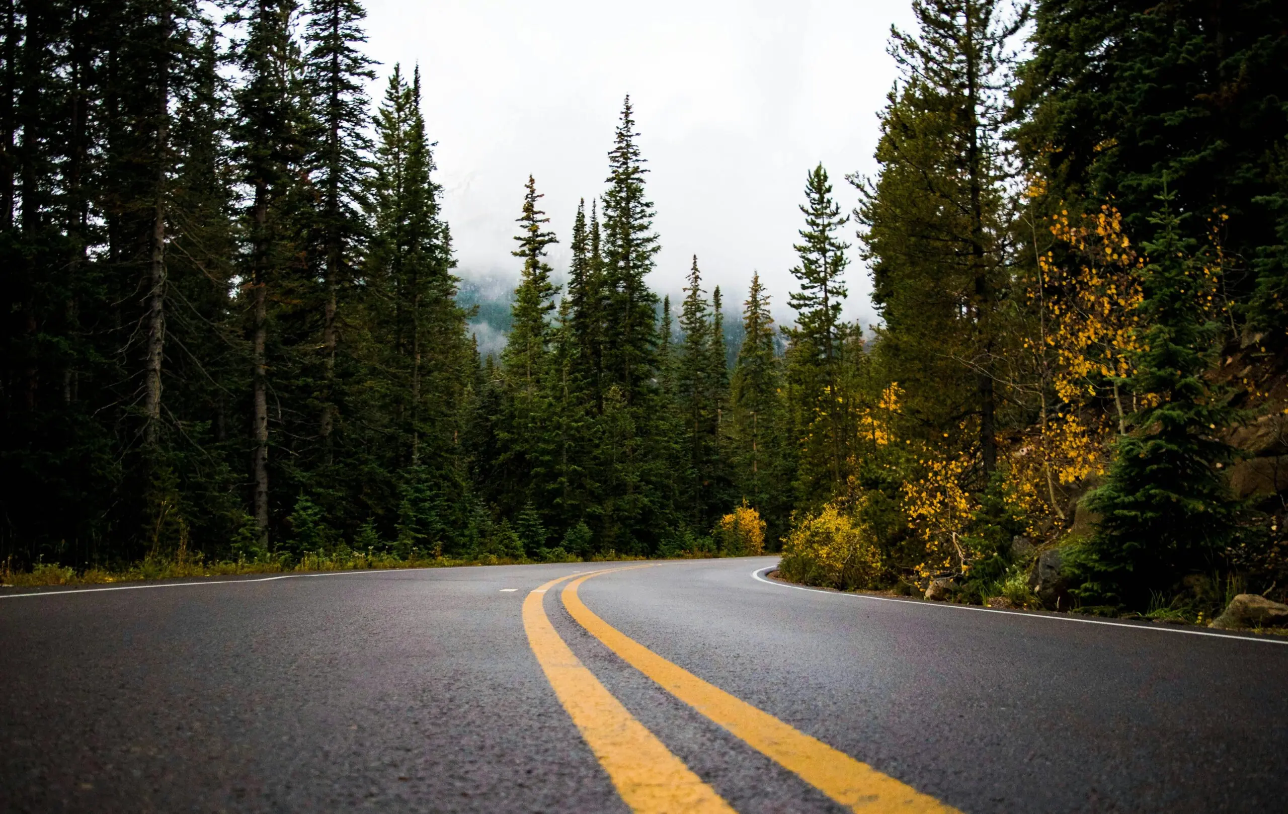 A winding highway road through trees and hilly terrain.