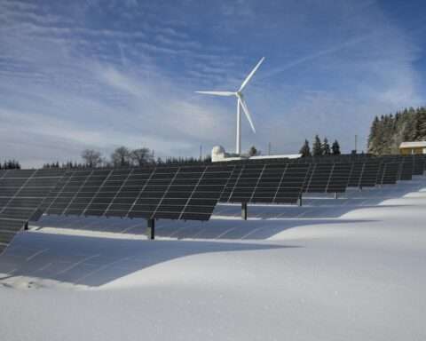 A solar and wind farm in snow before green trees and a blue sky.