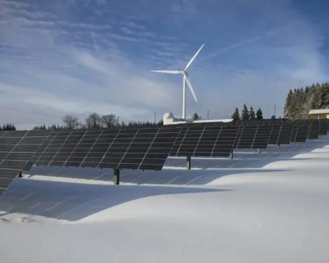 A solar and wind farm in snow before green trees and a blue sky.