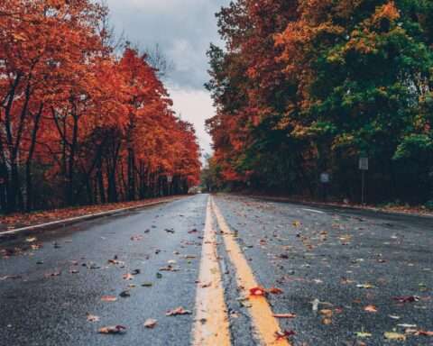 A road leading to multi-colored Autumn trees in Pennsylvania.