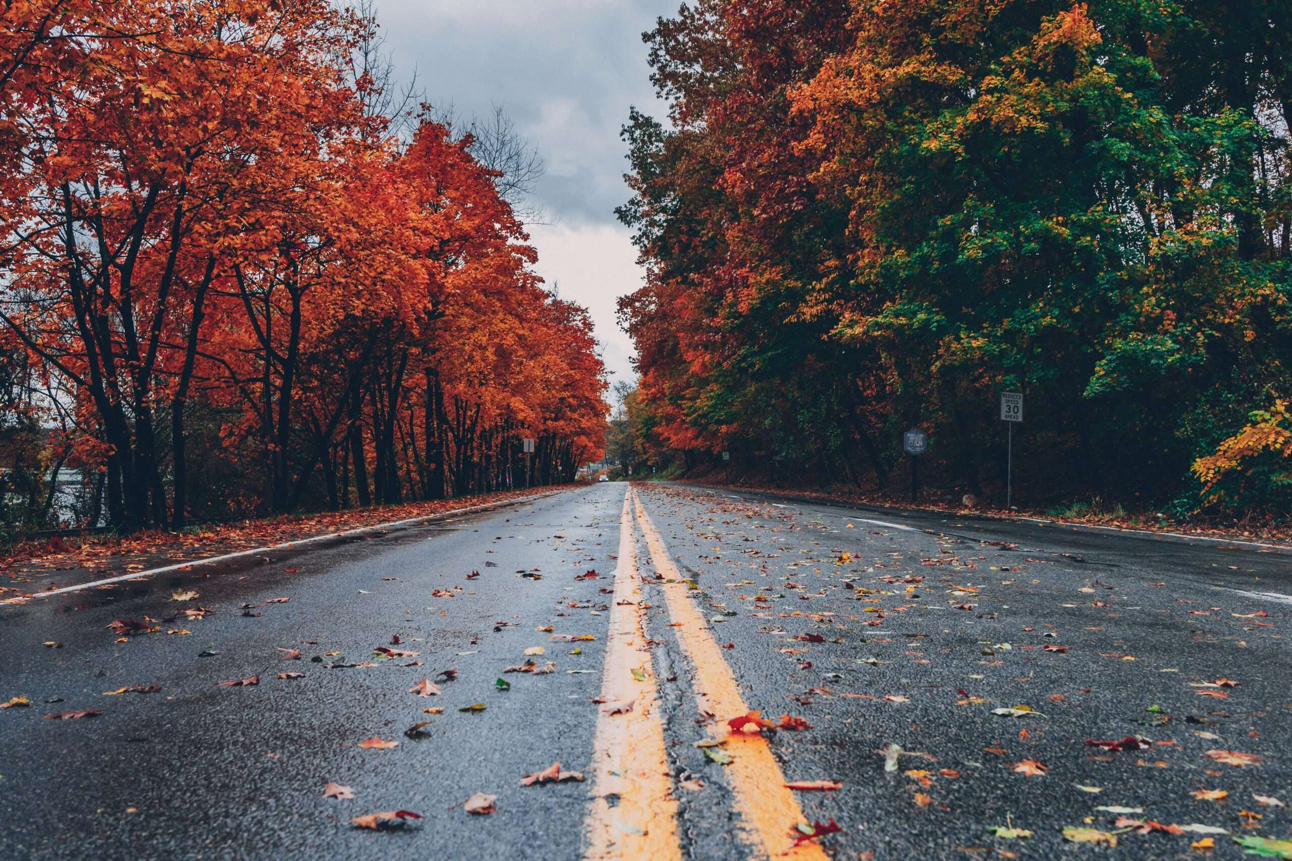 A road leading to multi-colored Autumn trees in Pennsylvania.