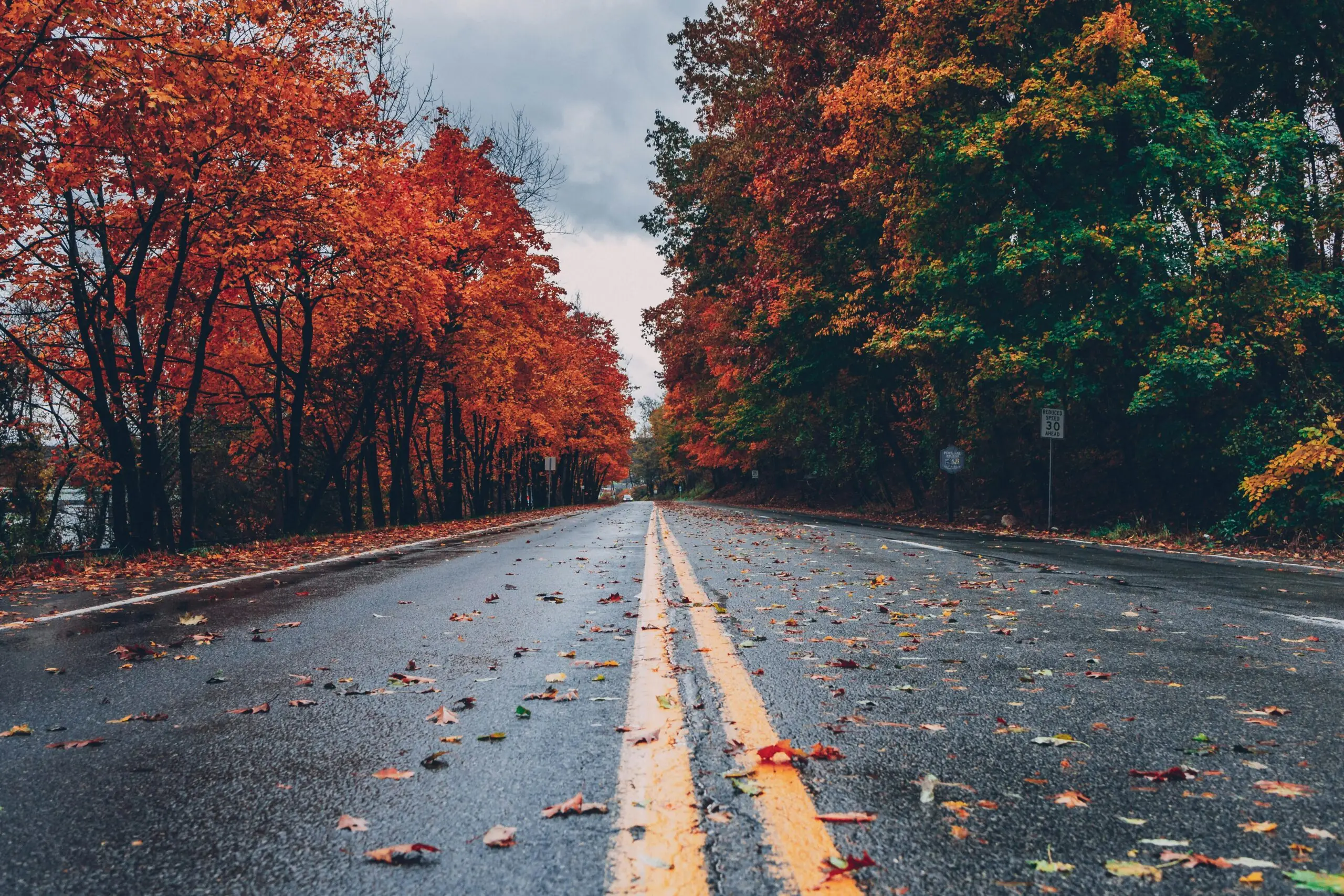 A road leading to multi-colored Autumn trees in Pennsylvania.