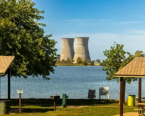 Nuclear cooling towers through trees and canopies at a park.