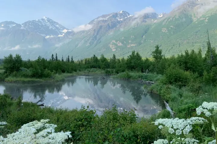 Alaska's natural beauty.