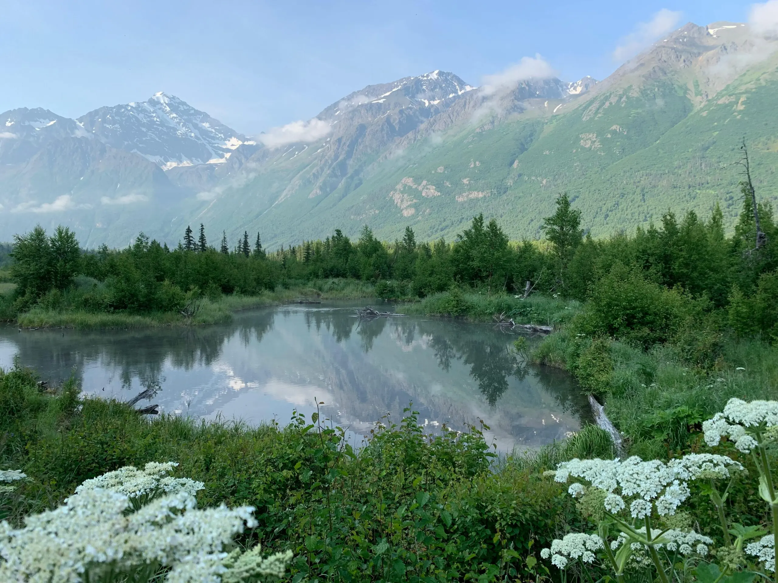 Alaska's natural beauty.