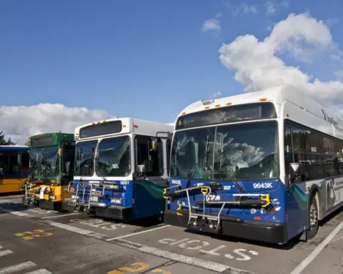 King County Metro buses lined up before a blue sky.