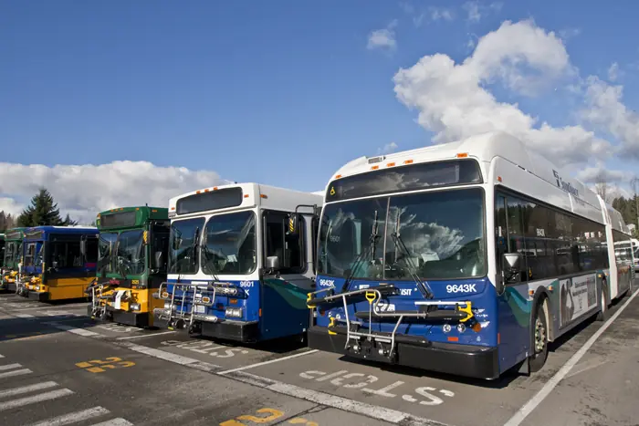 King County Metro buses lined up before a blue sky.