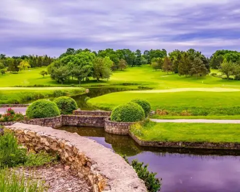 A colorful park with green grass and trees and a water feature.