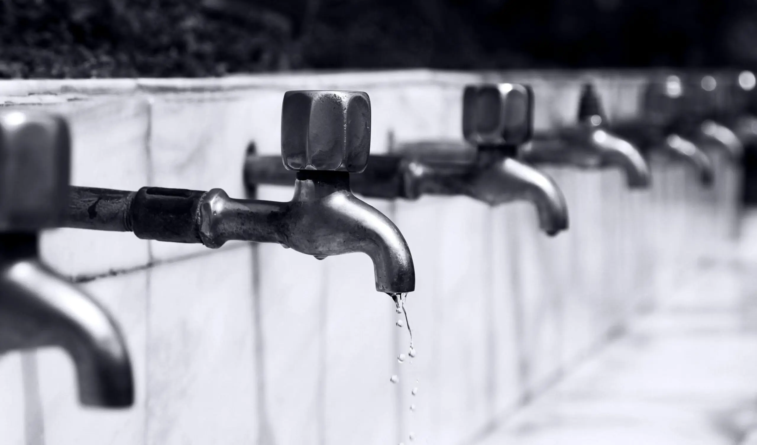 Water faucets in a line along a white wall.