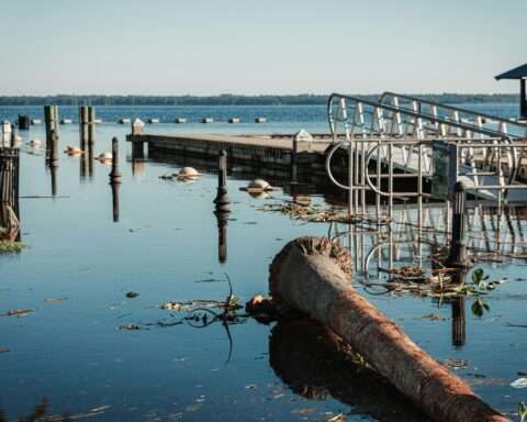 A flood-damage dock and pier.