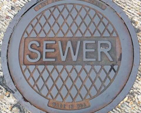 A sewer grate from above.