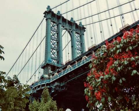 Rose bushes before a large green bridge in New York City.