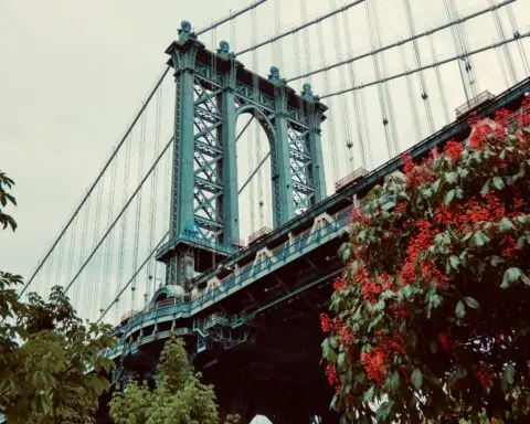 Rose bushes before a large green bridge in New York City.