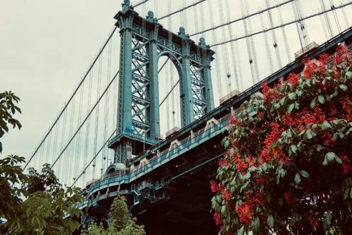 Rose bushes before a large green bridge in New York City.