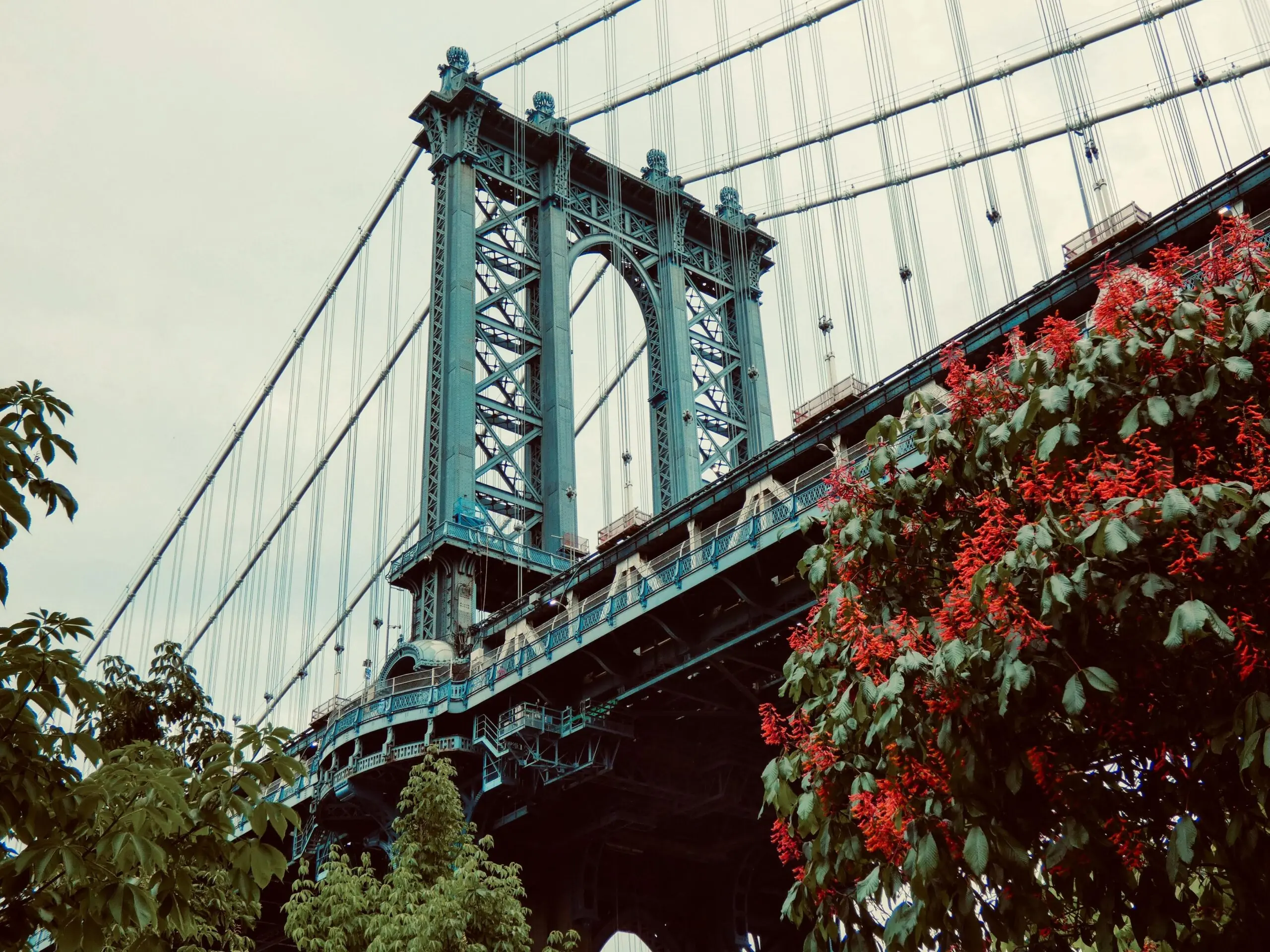 Rose bushes before a large green bridge in New York City.