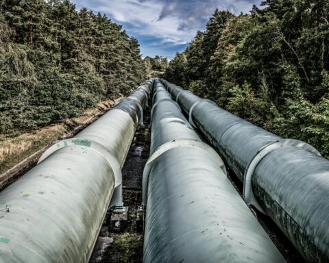 Three pipelines in the middle of a forest before a blue sky.