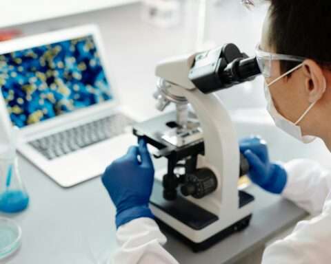 A university researcher looks through a microscope from behind.