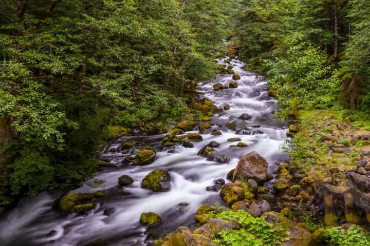 A stream in Washington State.