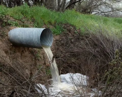 A pipe emerging from a grassy hill pouring water into a pond.