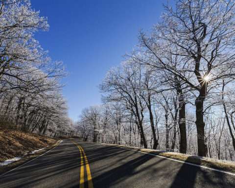 A freshly paved road before nearby trees in the winter.
