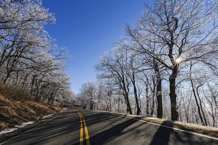 A freshly paved road before nearby trees in the winter.