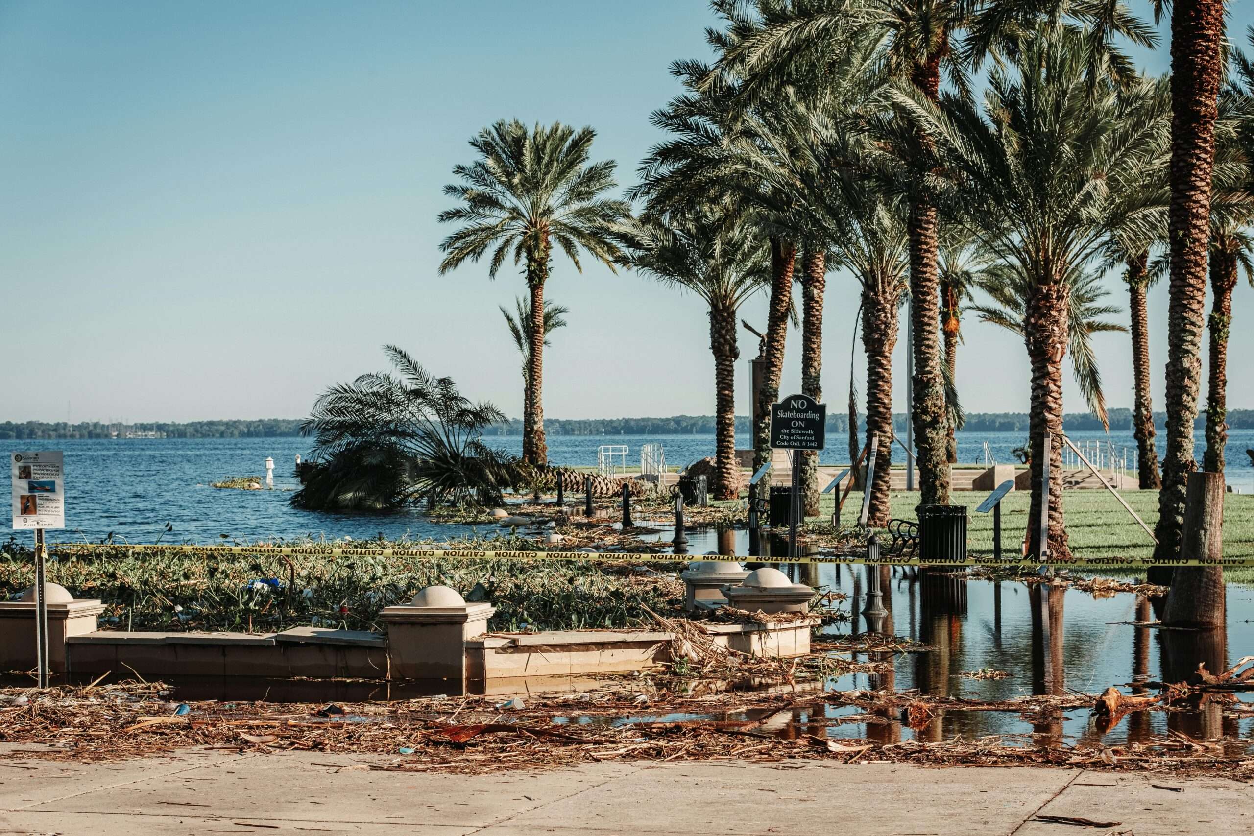 A damaged beach with trees, ruble and signs.