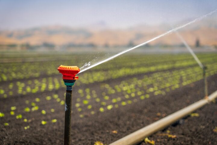Water squirting out of an agricultural water system in a field of grass sprouts.