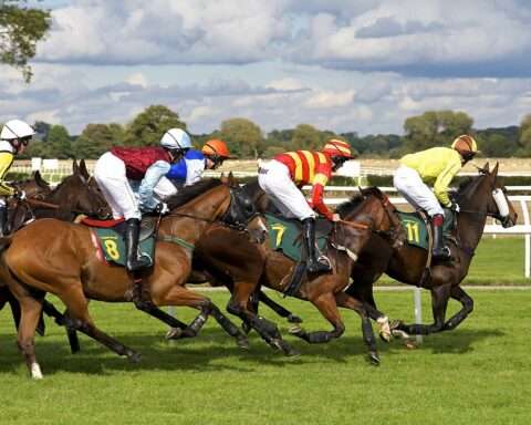 Horses and jockeys on a horse racing track.