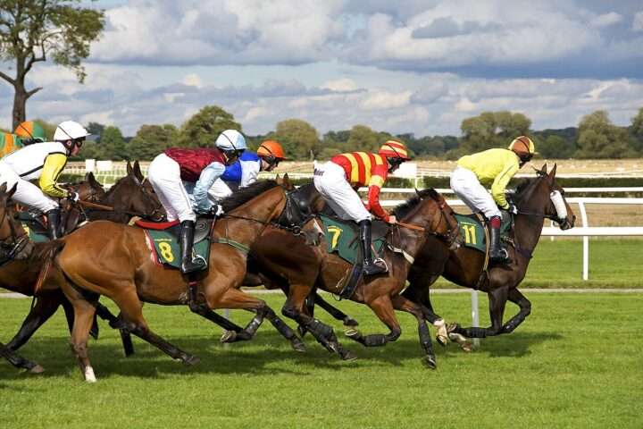 Horses and jockeys on a horse racing track.