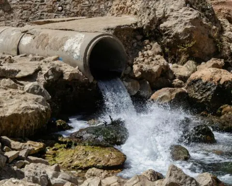 Water pouring through a sewer pipe into a puddle surrounded by rocks.
