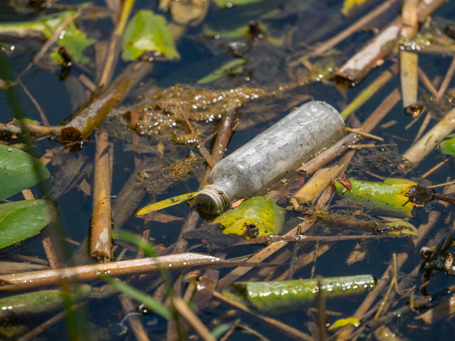 Delaware releases first statewide framework for emerging contaminants ...