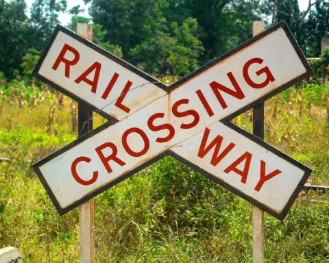 A railway crossing sign before greenery.