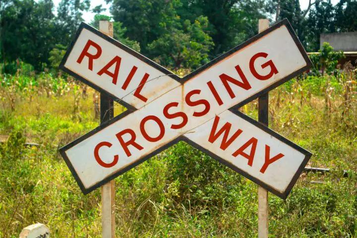 A railway crossing sign before greenery.