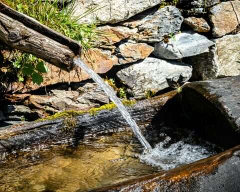 Water pours form a natural pipe into a log.